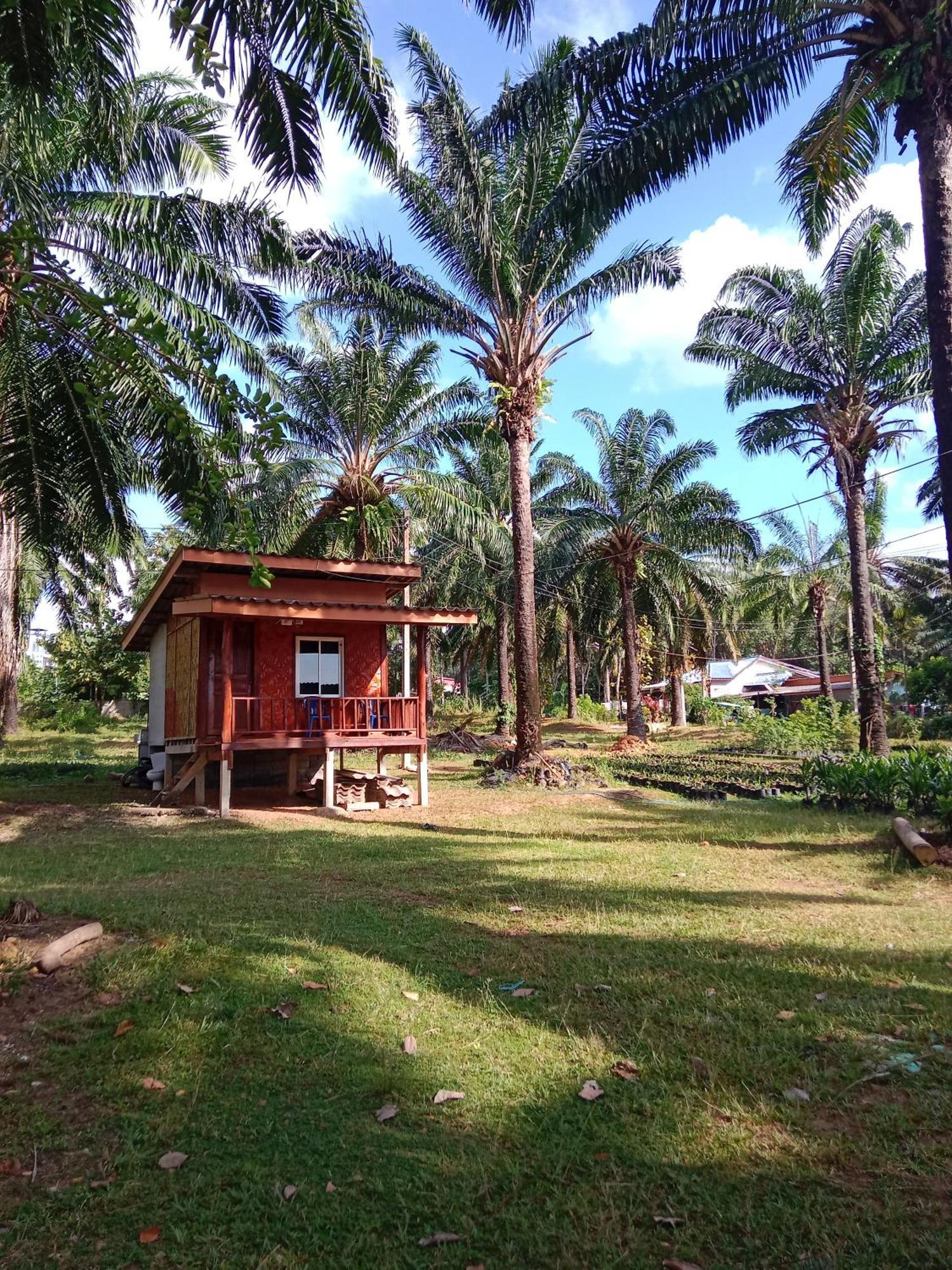 Som Palmgarden Hotel Ko Lanta Buitenkant foto