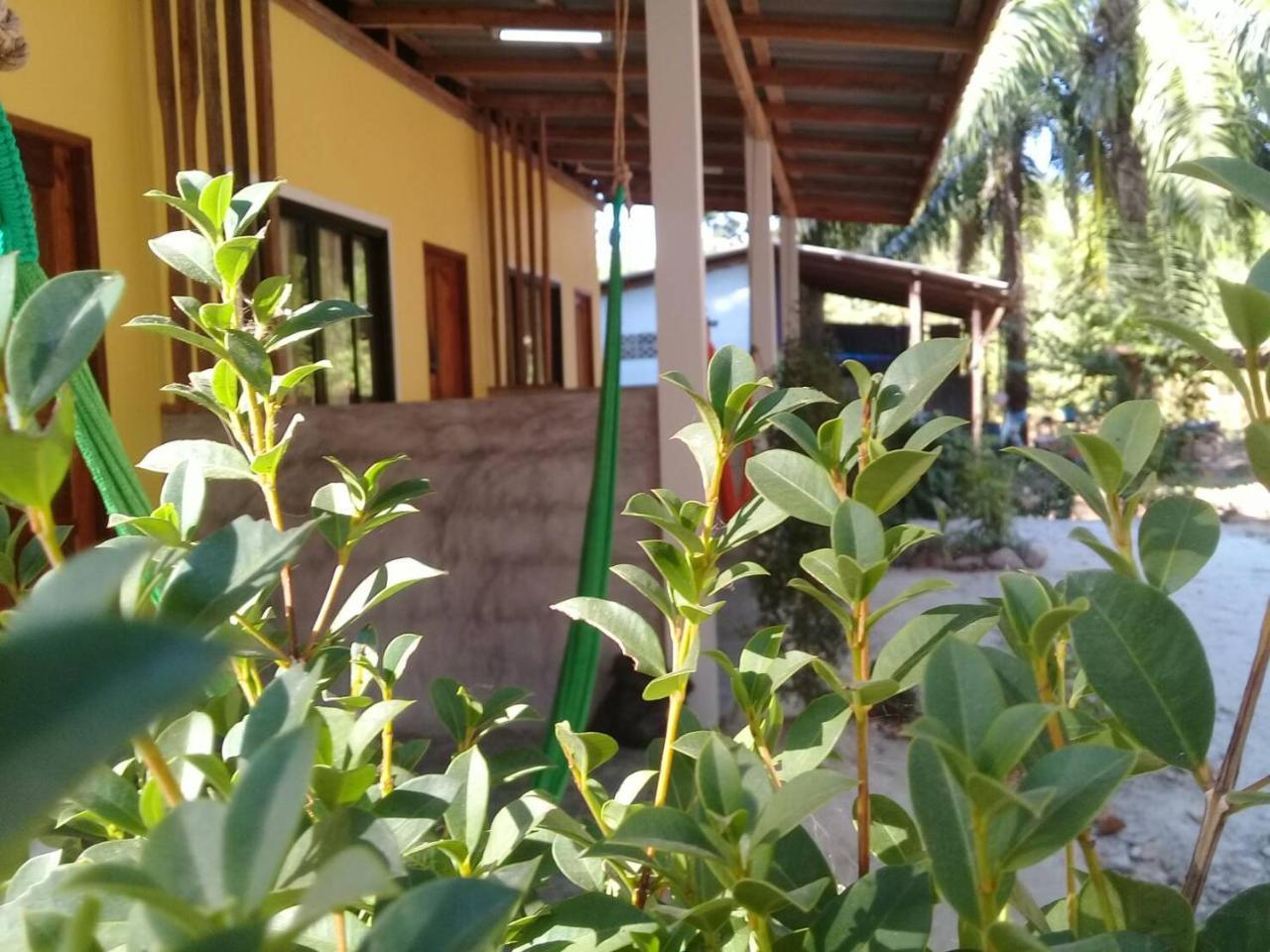 Som Palmgarden Hotel Ko Lanta Buitenkant foto