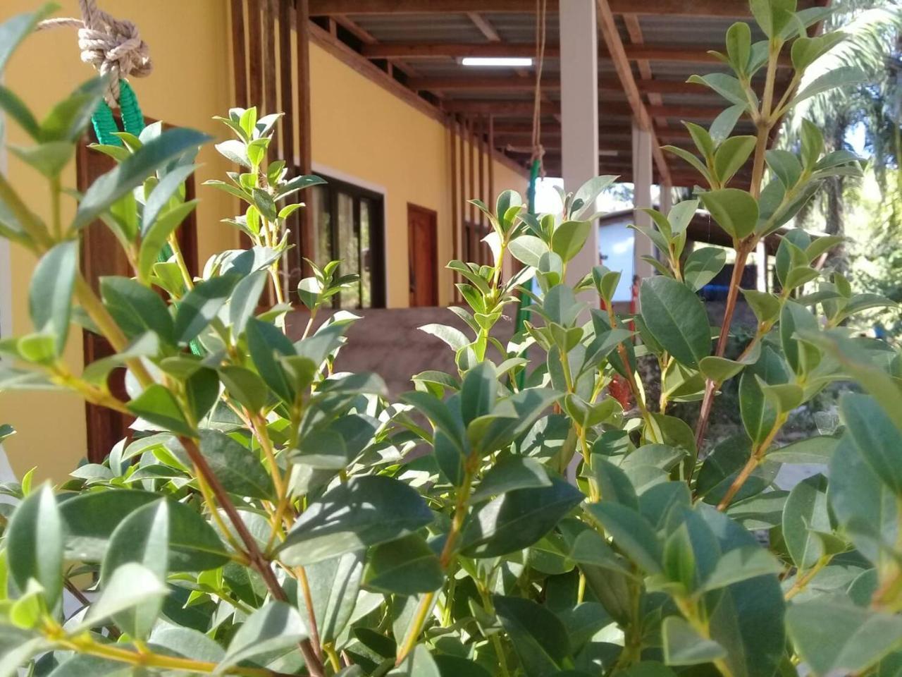 Som Palmgarden Hotel Ko Lanta Buitenkant foto
